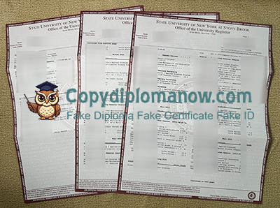 Stony Brook University Transcript