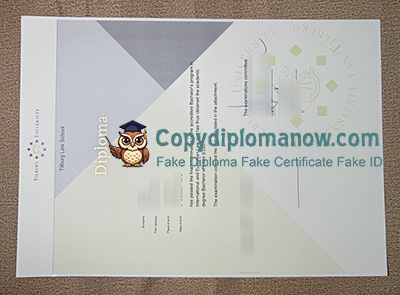 Tilburg University diploma