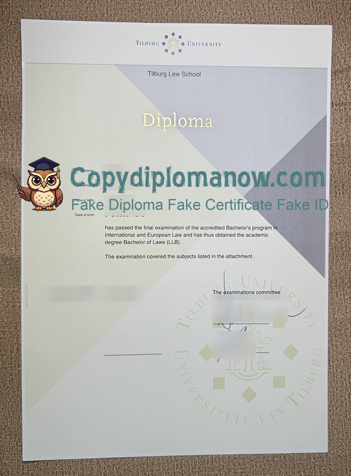 Tilburg University Diploma