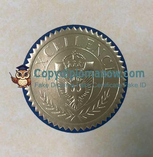 Bircham International University Diploma seal