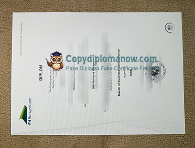 FH Burgenland Diplom