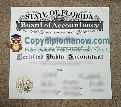 Florida CPA Certificate