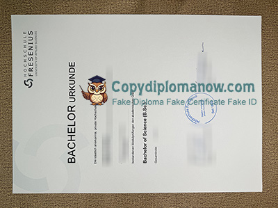 Hochschule Fresenius Urkunde