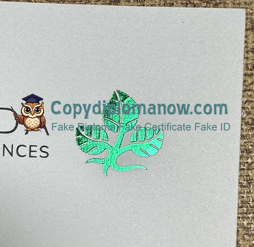 Hochschule Fulda Urkunde Hot stamping