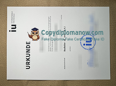 IU Internationale Hochschule Urkunde