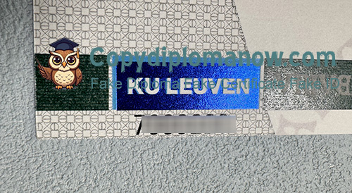 KU Leuven Diploma