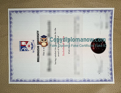 Mulungushi University Diploma