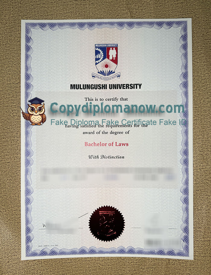 Mulungushi University Diploma