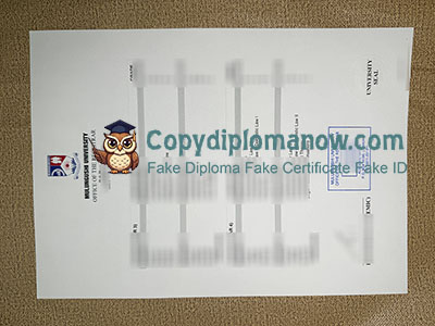 Mulungushi University Transcript