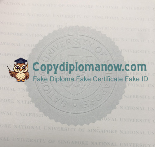 NUS Diploma seal