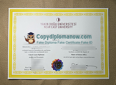 Near East University Diploma