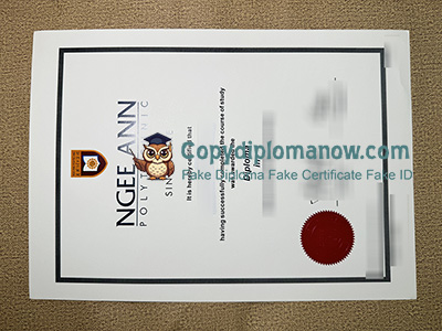 Ngee Ann Polytechnic Diploma