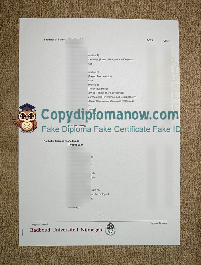 Radboud University Nijmegen Transcript