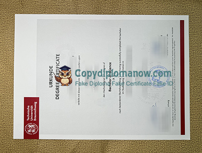 TU Braunschweig Urkunde