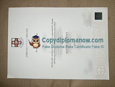 University of Bristol Degree