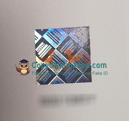 University of Johannesburg Diploma Holographic anti-counterfeiting