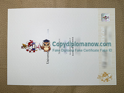 University of Southampton Degree