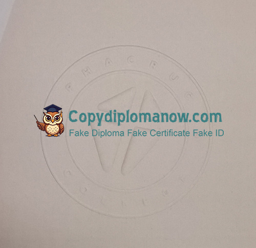 Alphacrucis University College Diploma seal