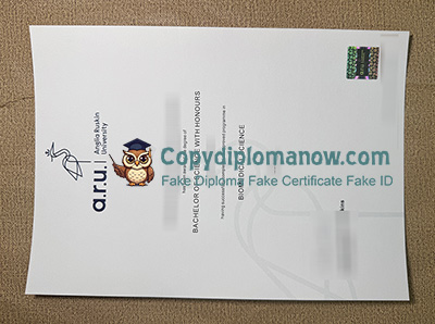 Anglia Ruskin University Degree