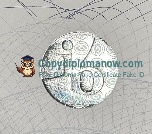 Bachillerato Internacional diploma Hologram Security