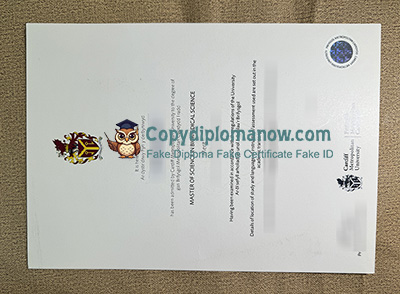 Cardiff Metropolitan University Degree