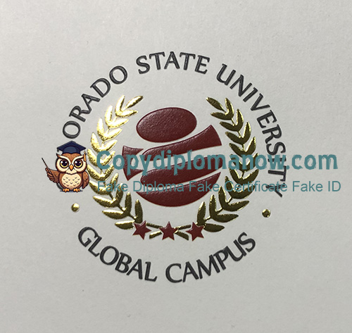 CSU Global Diploma Hologram Security