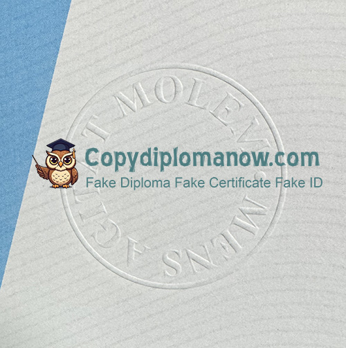 Technische Universiteit Eindhoven Diploma seal