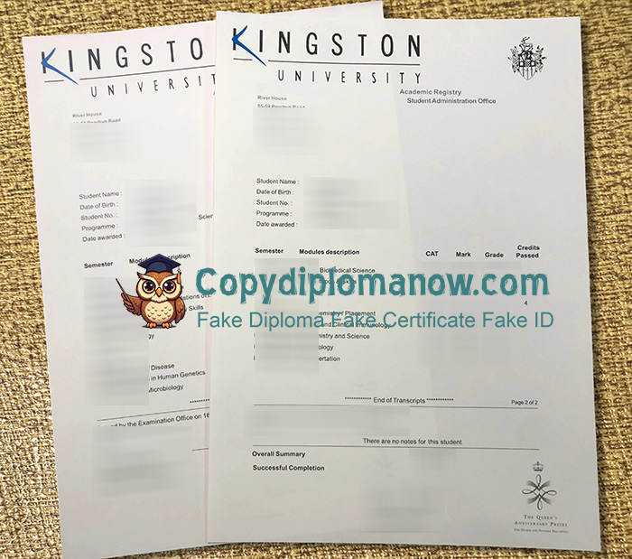 Kingston University Transcript