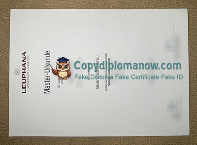 Leuphana Universität Lüneburg Urkunde