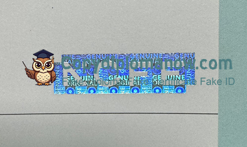 NCFE Certificate Hologram Security