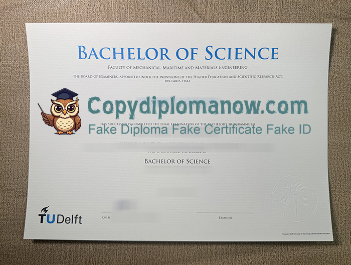 TU Delft Diploma