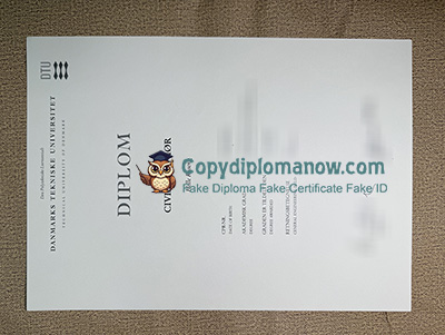 Danmarks Tekniske Universitet Diploma