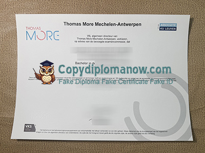 Thomas More Hogeschool Diploma