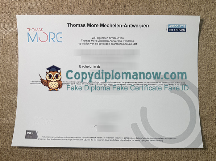 Thomas More Hogeschool Diploma