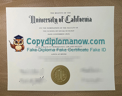 UC Irvine Diploma