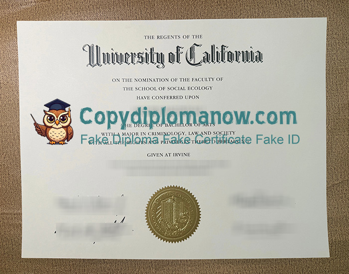 UC Irvine Diploma