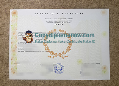Université Paul Sabatier Diploma