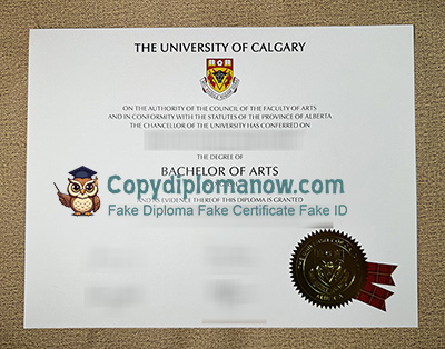 University of Calgary Diploma