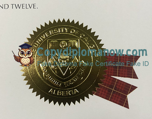 University of Calgary Diploma seal