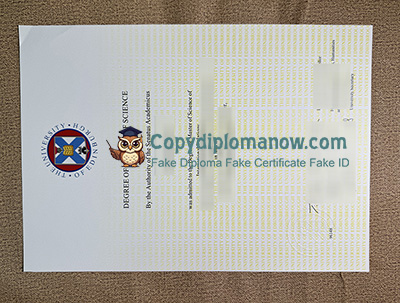 University of Edinburgh Degree