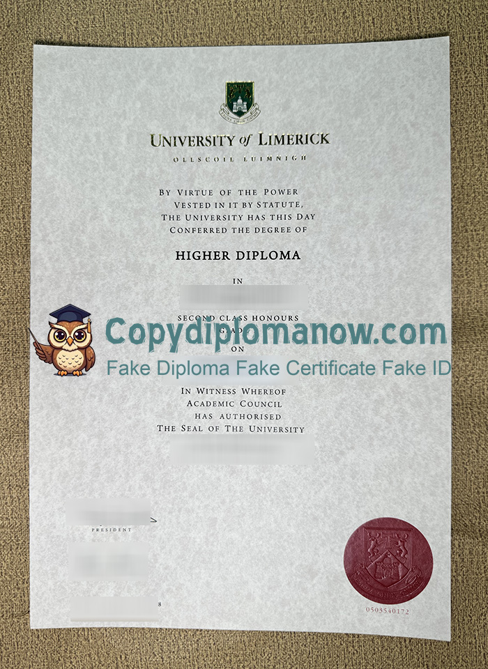 University of Limerick Diploma