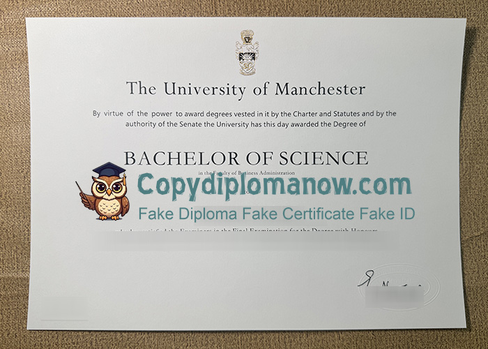 University of Manchester Degree