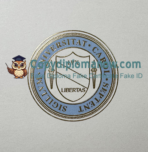 UNC Chapel Hill Diploma seal