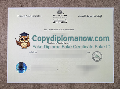 University of Sharjah Diploma