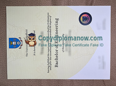 University of Sheffield Degree