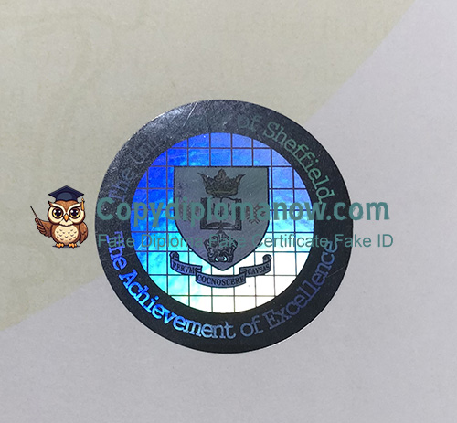 University of Sheffield Degree Hologram Security