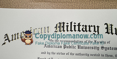 American Public University System Diploma seal