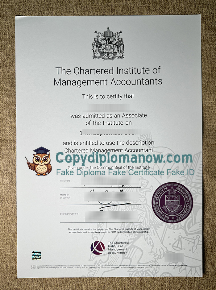 Chartered Institute of Management Accountants Certificate, CIMA Certificate