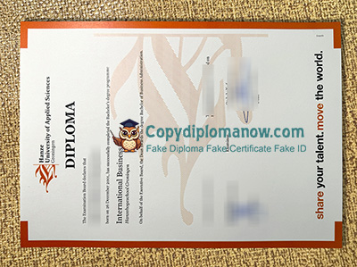 Hanze University of Applied Sciences Diploma