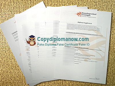 Hanzehogeschool Groningen Diploma Supplement
